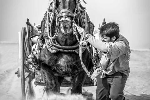 GANADORES DEL VIII CONCURSO DE FOTOGRAFÍA SERONDAYA