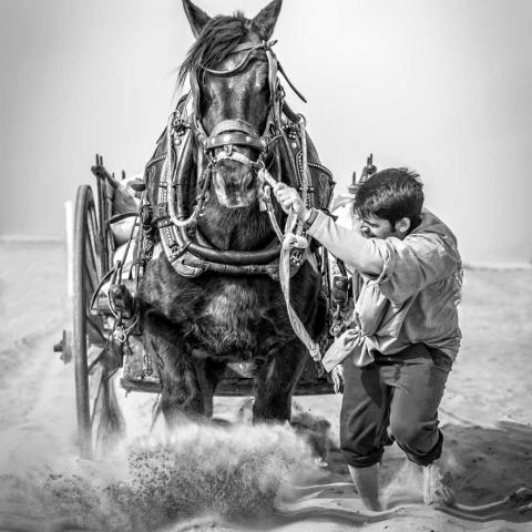 GANADORES DEL VIII CONCURSO DE FOTOGRAFÍA SERONDAYA