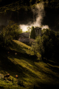 Primer Premio 200x300