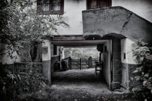 Segundo Premio 300x200