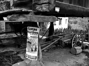 Tercer Premio 300x225