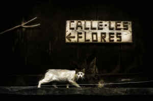 nº 1 primer premio fotos del valle