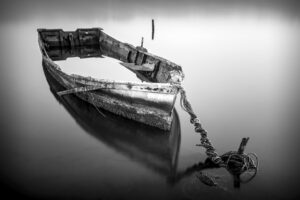 nº 8 primer premio fotos tema libre